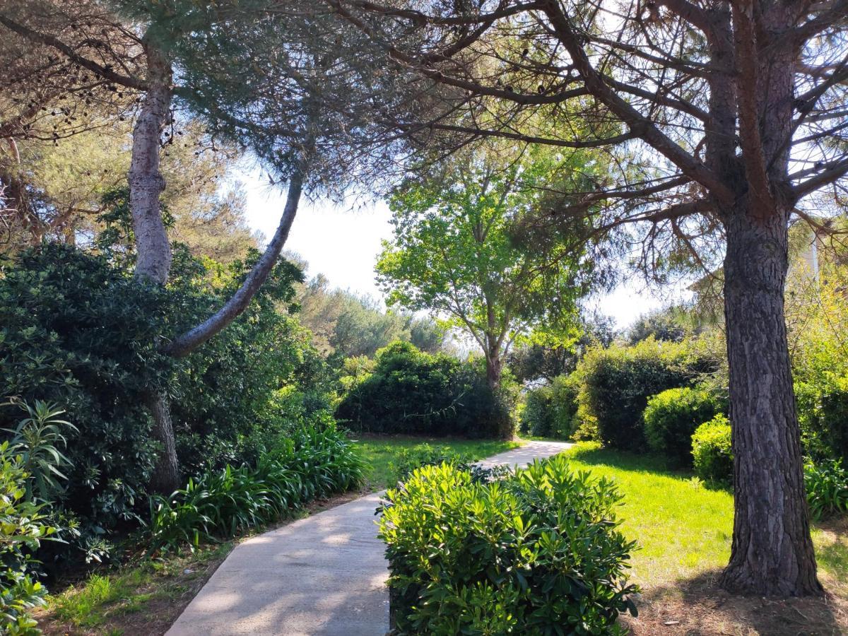 Domaine De La Coudouliere, Vue Mer, Plage, Piscine Et Parc Six-Fours-les-Plages Exterior photo